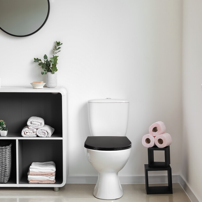 Relaxdays Toilet Seat with Soft-Close Mechanism