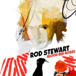 Червоні троянди Blood Red – свіжі квіти з доставкою по Україні