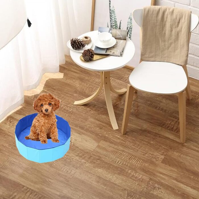 Надувний басейн для собак, 50 x 10 см. Зручний, портативний, для літнього відпочинку вашого улюбленця