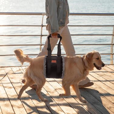 Регульована переносна допомога для собак, переносна лямка для реабілітації, поранених, травмованих або літніх собак - шлейка для собак як засіб допомоги при ходьбі для маленьких і великих собак, сірий колір, XL