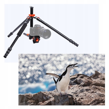 Штатив K&F Concept SA254T2, 190 см, чорний