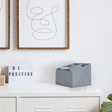 Relaxdays Storage Boxes, Felt, 2-Pack