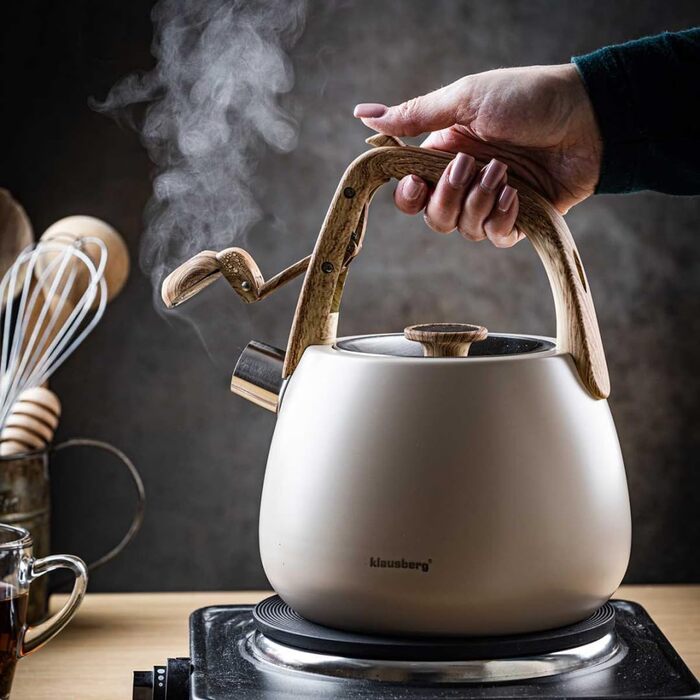 Чайник зі сталі 2.5L Induktion (Крем)