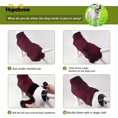 Hipetime XS Red Dog Recovery Suit
