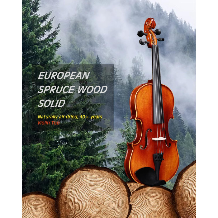 Скрипка Aileen 4/4 для дорослих та початківців, набір для дітей від 12 років, скрипка з цільної європейської сосни з підставкою для нот