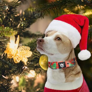 Тактичне нашийник для собак TSPRO, міцний, з металевою застібкою, 3.8 см, регульований, для середніх та великих собак (M), розмір шиї M-H, регульований 40-48 см, червоний (різдвяний)