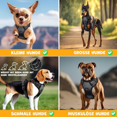 Шлейка для собак без натягу та задухи для маленьких собак та цуценят, дихаюча та м'яка, світловідбиваюча | Шлейка No-Pull з ручками та рулетами для відходів | Регульована шлейка з ручкою, колір антрацит, розмір L