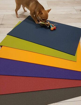 Підкладка під миску SanoZoo для котів (40x60 см, фіолетова) – екологічна, Made in Germany