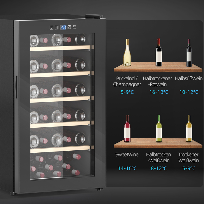 HOMCOM Wine Refrigerator 41 Bottles 91L 5-20℃ Compressor Beverage Refrigerator with Glass Door, LED Light, Bottle Cooler with Touch Screen, Small Wine Cabinet Black | Aosom