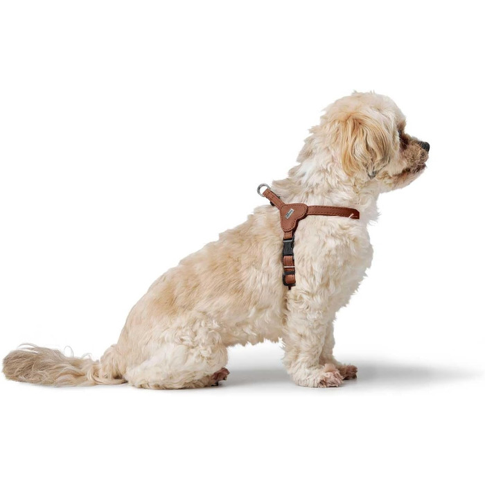 Нашийник для собак HUNTER SOHO MINI, колір: коричневий (cognac), шкіра, для маленьких собак та цуценят, Made in Germany, розмір XS