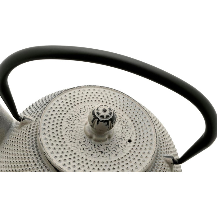 Bredemeijer Blue Flat Asia Teapot 1.1 Liter Cast Iron - Asia Cast Pot with Stainless Steel Tea Filter Strainer (1100ml, Black)