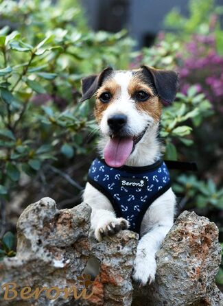 Шлейка для собак Softgeschirr, шлейка для грудей Anker Maritim, регульована, для відпочинку, літо (L (ОБ: 37-42см, Грудка: 47-63см)) (M)