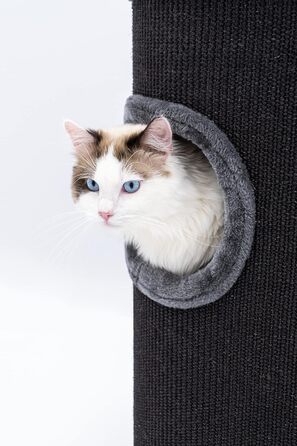 Кігтеточка Petrebels Dome, 80 см, чорна: стабільна та міцна