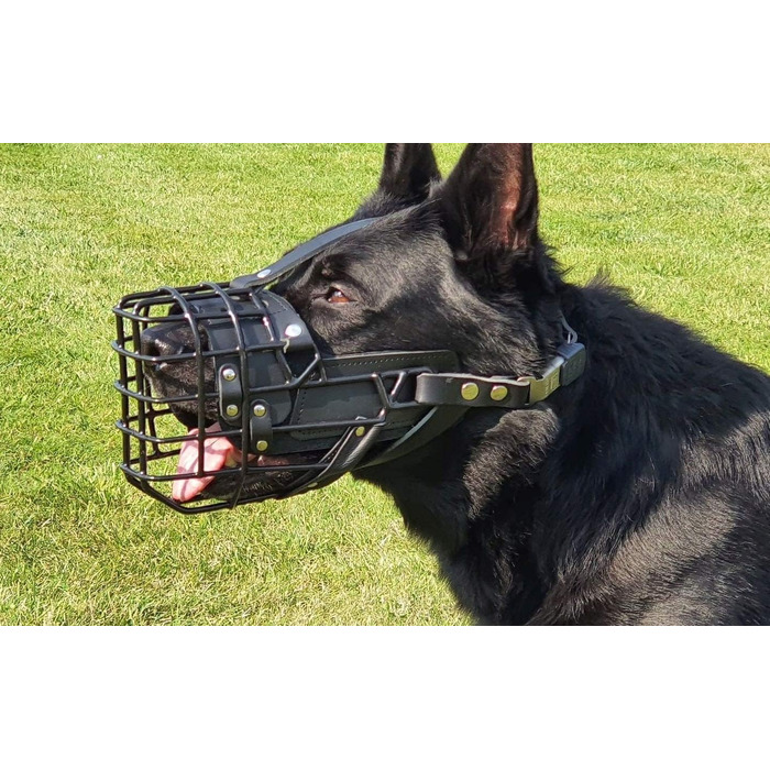 Dingo Gear Rubberized Metal Dog Muzzle for Malinois - Professional, Comfortable, Universal for Long Walks (S03048 Malinois L)
