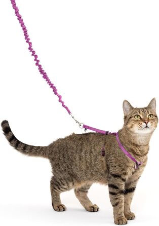 PetSafe Come with Me Kitty Harness and Bungee Leash, Harness for Cats, Size M, Red/Cranberry, Model: CWMK-M-RED (Light Pink/Burgundy, Medium (Pack of 1))