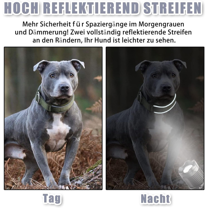 Нашийник для собак з неопрену (4см) з відбиваючими елементами, міцний нейлон, стопор, комфортний, для дресирування, проти ривка, для малих, середніх та великих собак, сірий, L (45-56см)