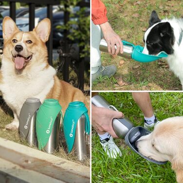 LumoLeaf Stainless Steel Dog Water Bottle - 800ml Portable Pet Water Dispenser for Travel, Hiking & Camping (Blue)