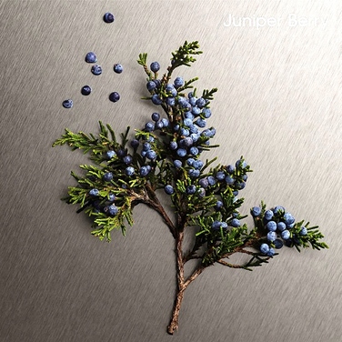 Парфумована вода Calvin Klein Eternity Aromatic Essence для чоловіків, 100 мл