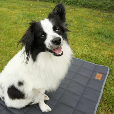 Килимок для собак your GEAR Lana, 90 x 60 см, бавовна Oeko-TEX, м'який, міцний, придатний для прання, для дому та вулиці