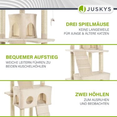 Дерево для котів Juskys Amy XXL - з печерами, лежанками, сходами та сизалевими стовпчиками. Стабільний котячий комплекс 170 см, сірий (бежевий)