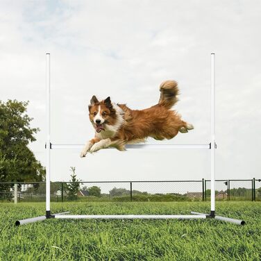Набір для аджиліті для собак Grün 4X: набір шлагбаумів, регульована висота, 104x70x101 см