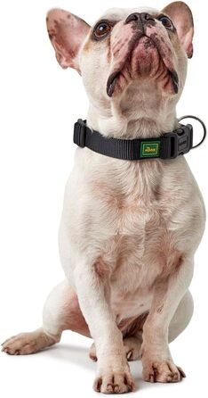 Нашийник для собак Hunter Vario Plus, міцний, гнучкий, з надійною застібкою, M-L/2.0, petrol