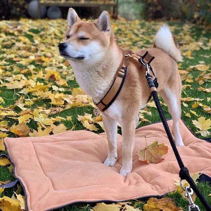 Переносний килимок для собак Univok, миючий, сірий колір