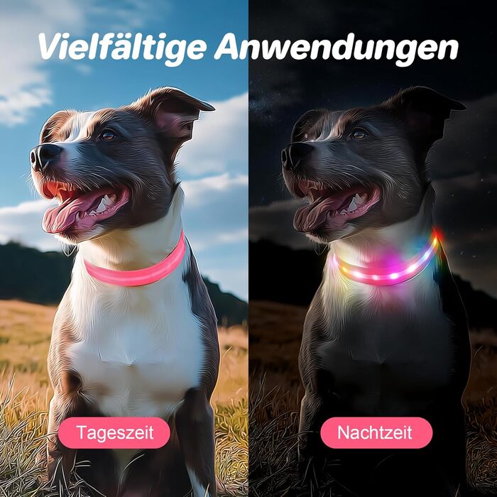 Світлодіодне нашийник для собак Feycig - USB, водонепроникний, 3 режими, регульований, для малих, середніх та великих собак (Рожевий, L(48-60см))