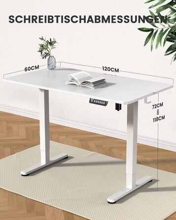 ErGear Electric Standing Desk - 100x60cm - Height Adjustable Desk with Memory Function for Home Office & Connection Plate