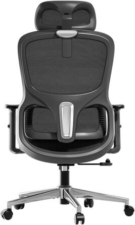Hbada P2 Air Ergonomic Office Chair with 3D Lumbar Support, Adjustable Mesh Chair, 3D Armrests, Headrest & Comfortable Seat - Home Office Desk Chair, Black