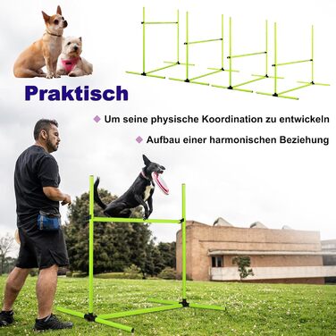 Набір для аджиліті собак 4-TLG, тренування з доріжками, регульована висота, з сумкою, PVC, зелений