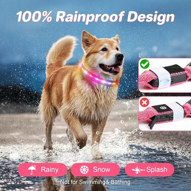 Світлодіодна нашийник для собак Feycig - USB зарядка, водонепроникний, 3 режими, регульований (L, рожевий, 28-40см)