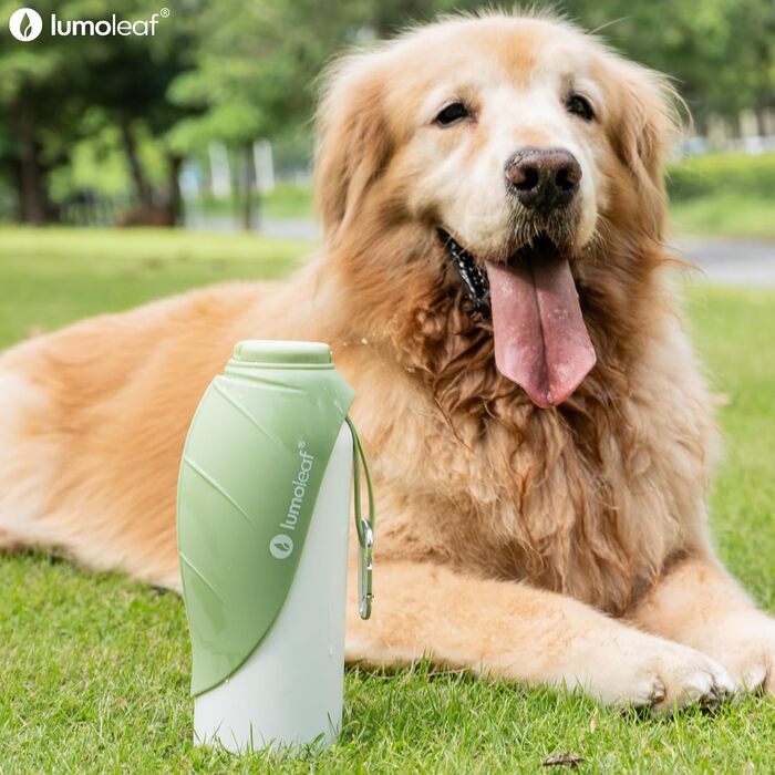 Термофляга для собак LumoLeaf з нержавіючої сталі, 800 мл, зелена - зберігає воду холодною/теплою, довговічна, портативна