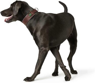 Нашийник для собак HUNTER NEOPREN Reflect, коричневий, широка, світловідбиваюча, для прогулянок, розмір 60