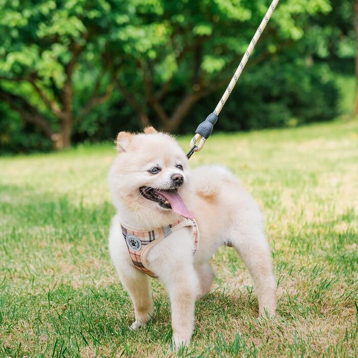 Шлейка та поводок для собак та котів Beautyzool, м'яка сітчаста тканина, світловідбивачі, для дрібних та середніх цуценят та котів, в клітинку, XS/S, Бежевий (37-41 см обхват грудей)