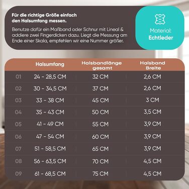 Ошийник для собак MICHUR Carlota, шкіряний, коричневий, з бірюзовими каменями, різні розміри (24-28,5 см)