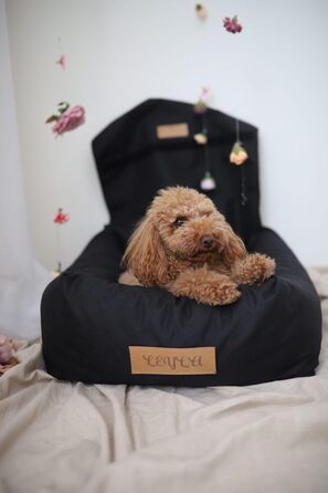 Крісло для собак у машину Petsen з іменем, чорне, для маленьких собак, з поводом