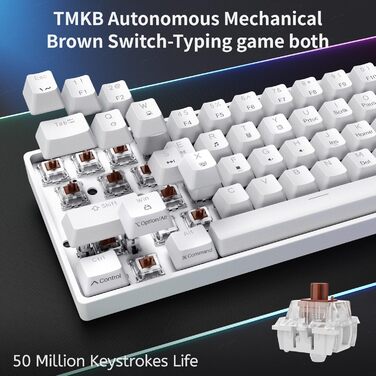 Dierya DK61se - Механічна ігрова клавіатура 60% з Blue Clicky Switch, компактний дизайн, підсвічування, USB-C, US Layout, білий колір