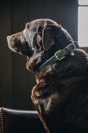 Нашийник для собак Kentucky Dogwear, плетений нейлон, оливковий, розмір S, 42 см