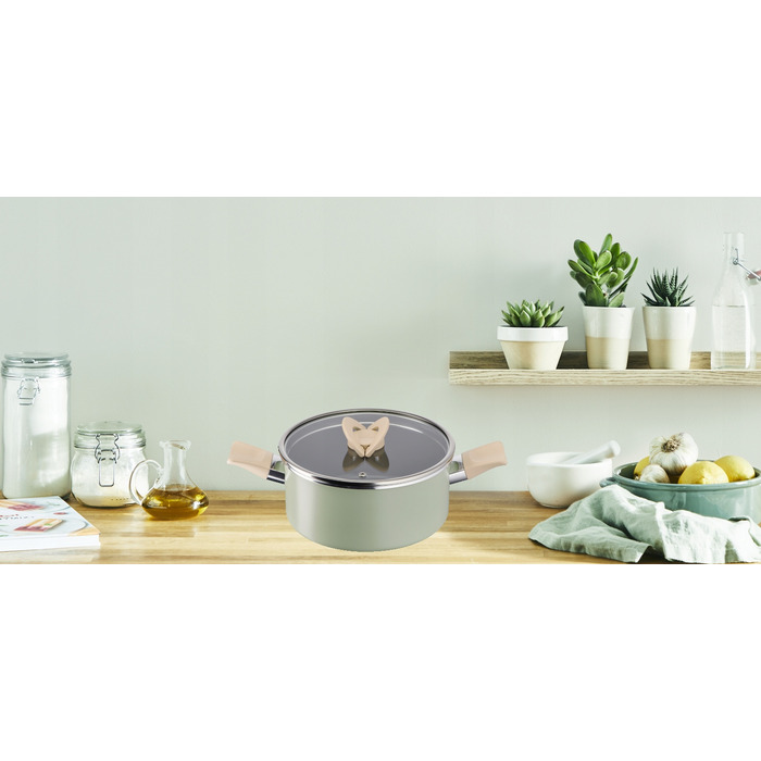 Каструля традиційна з кришкою Tefal Blossom G1744624, алюмінієва, для індукційних плит, 5,2 л