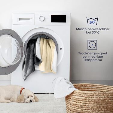 Водонепроникний коврик для собак Dreamzie 63x88 см - для дивана та ліжка - зворотний коврик з Sherpa-флісу - можна прати (Бежевий, L (127 x 152 см))