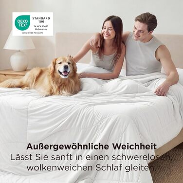 BEDSURE Ковдра всесезонна 135x200 см, 300 GSM, 200x200 см, сіра/світло-сіра, для алергіків