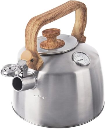 Електричний чайник зі свистком з нержавіючої сталі з термометром, 3.2 л
