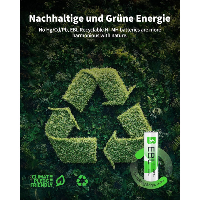 Зарядний пристрій для акумуляторів EBL AA AAA 9V NIMH з 4-ма відсіками, смарт-зарядка, LED-дисплей, швидка зарядка (з набором акумуляторів)