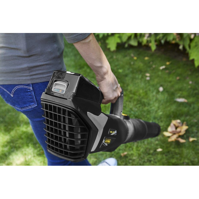 Alpina Cordless Leaf Blower ABL 20 Li Kit, For a well-maintained garden, 20 V (4 Ah) battery, 280 W, space-saving detachable tube, Includes battery and charger.