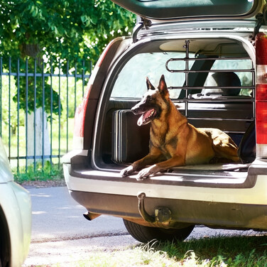 Relaxdays Dog Cage for Car
