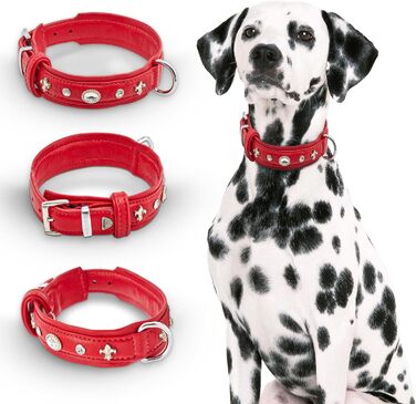 Julieta Leine, Leather Dog Leash, Leather Lead Dog, MATCHES Julieta Collar, Red, Leather, with Lilies, Rhinestones, and a Large Crystal (Neck circumference 52-58cm)