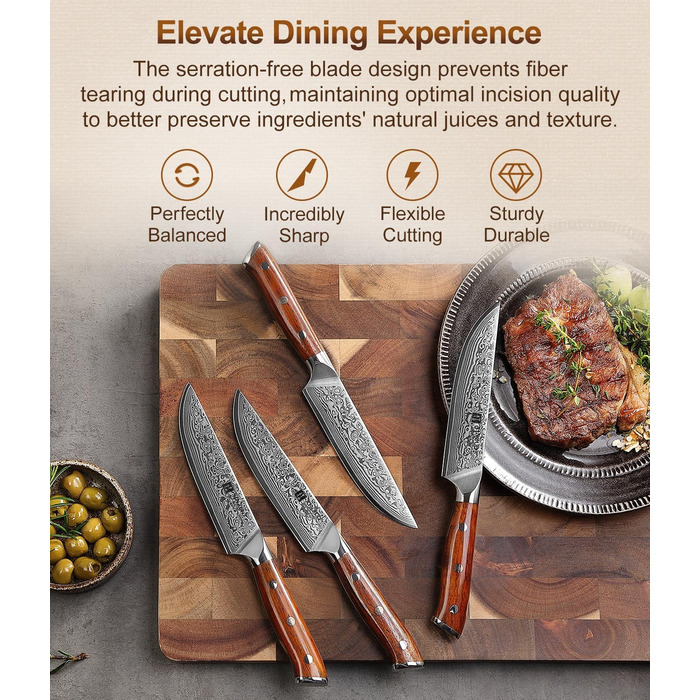 XINZUO Damascus Chef's Knife Set - 67 Layer High Carbon Steel, Professional Gyuto Knife with Rosewood Handle (5-Piece Steak Knife Set)