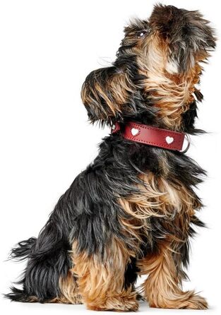 Нашийник для собак HUNTER Love, червоно-чорний, з м'якої шкіри, ручної роботи, розмір 42