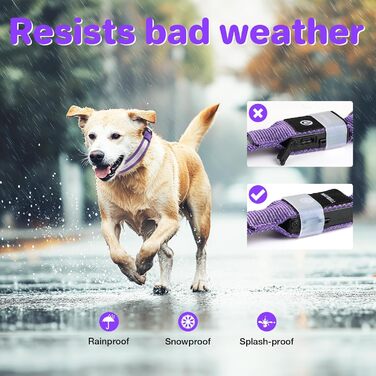 Світлодіодне нашийник для собак MABRILL, перезаряджається, водонепроникний, 3 режими світла, для малих, середніх та великих собак, колір: фіолетовий (L)